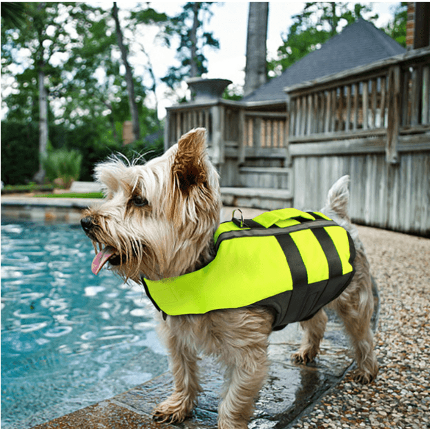 Inflatable Dog Life Preserver