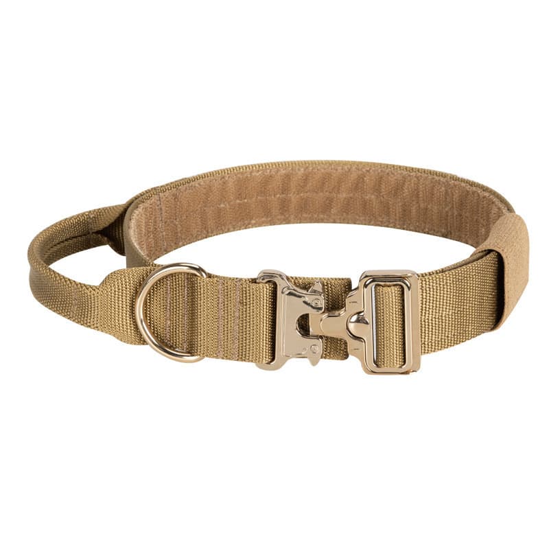 Gold Chain Collar & Leash — Large Dogs
