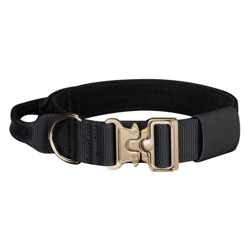 Gold Chain Collar & Leash — Large Dogs view 2