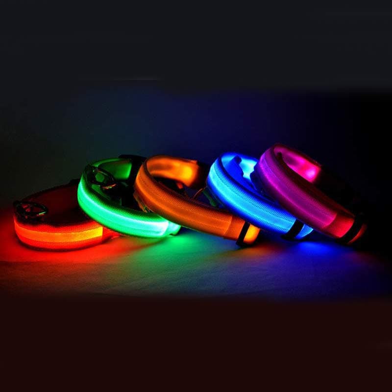 LED Nylon Glow Collar — Night Safety