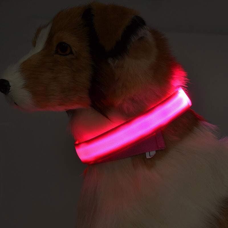 LED Nylon Glow Collar — Night Safety view 2