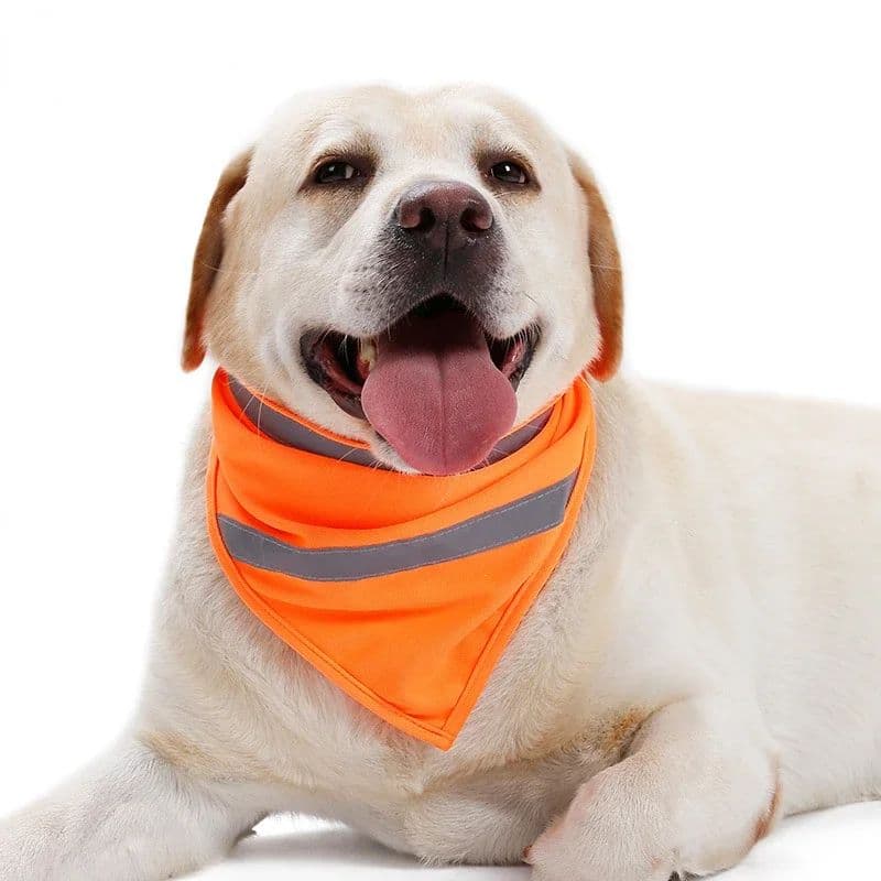 Reflective Dog Bandana — Bright Colours view 3