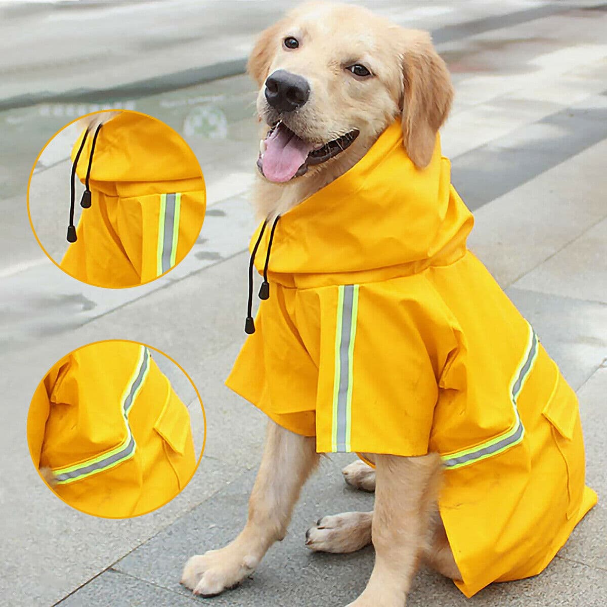 Dachshund Raincoat Poncho — Waterproof