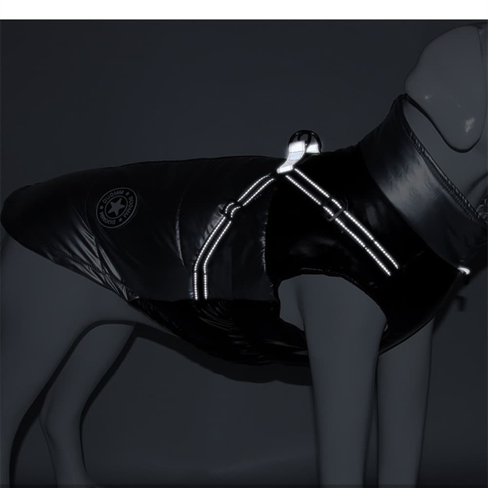 Reflective Winter Coat — Big Dogs