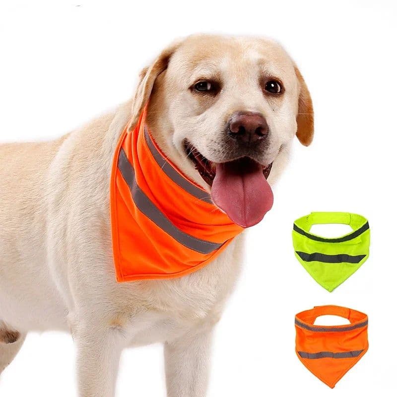 Reflective Dog Bandana — Bright Colours
