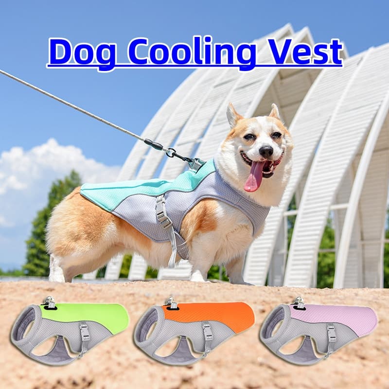 Summer Dog Cooling Vest — Breathable