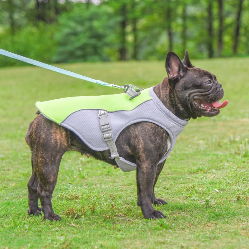 Summer Dog Cooling Vest — Breathable view 2