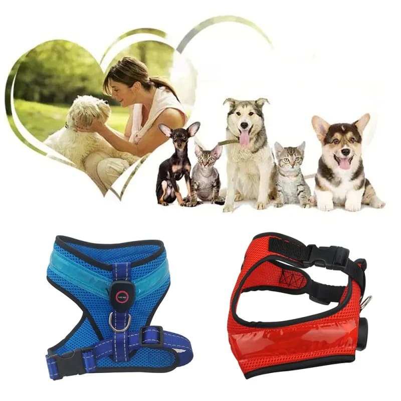 LED Luminous Dog Harness — USB Rechargeable view 2