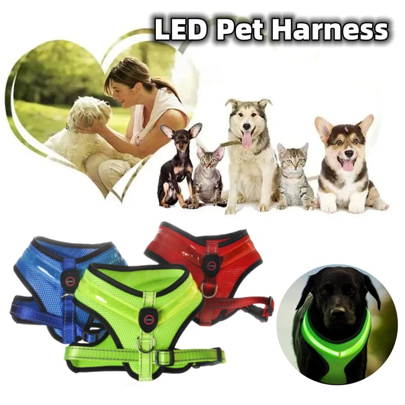 LED Luminous Dog Harness — USB Rechargeable