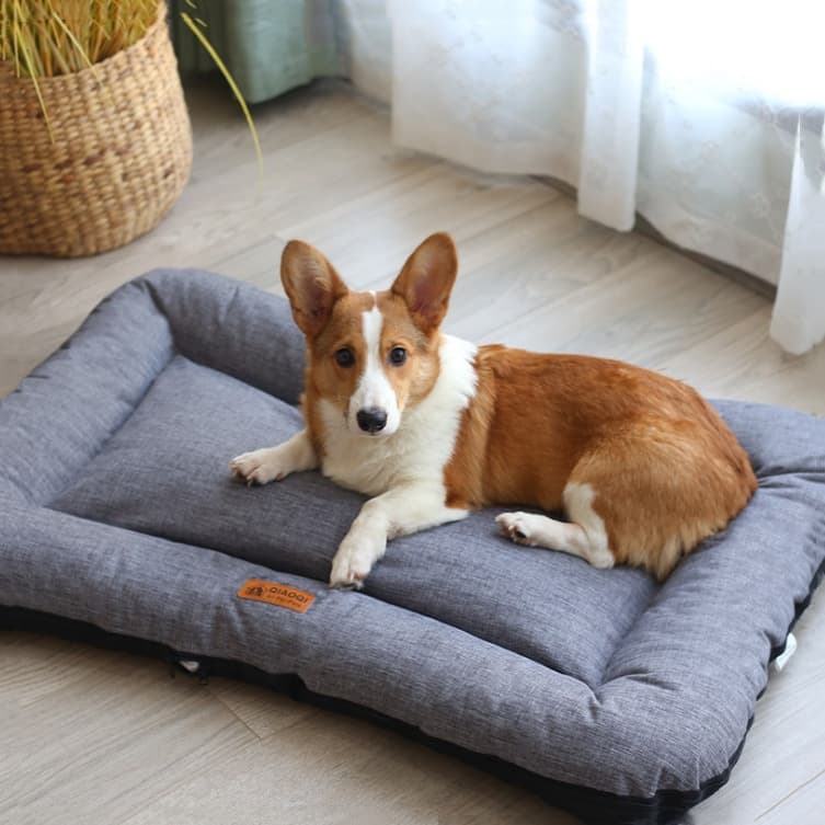 Removable & Washable Sleeping Mat